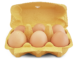 Boîte de 6 œufs