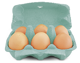 Boîte de 6 œufs