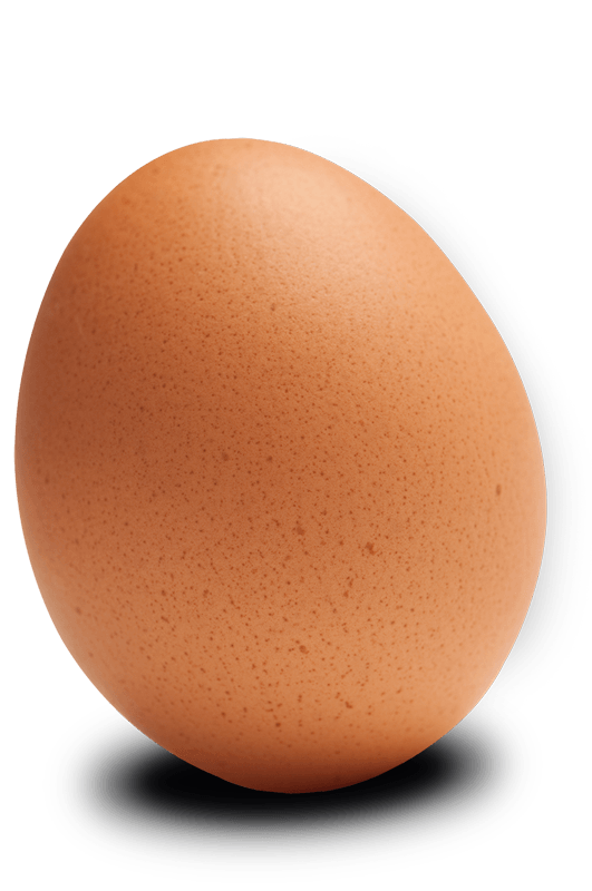 egg